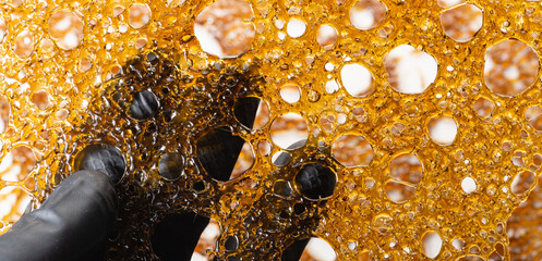 Gloved Hand Examines Cannabis Extract