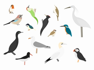 Ensemble d&rsquo;oiseaux communs et d&rsquo;oiseaux marins