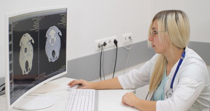 A serious doctor sits at a computer and closely examines the mri examination of a pet with a head injury. The skeleton of the pet's head is visible on the computer monitor against a black background.