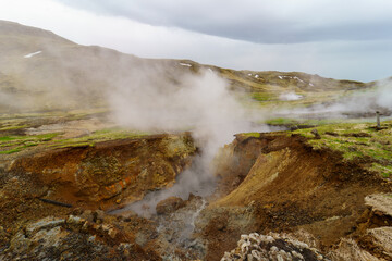 field with hot steam vent in iceland