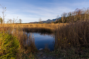 Blue pond in the Murnauer Moos, Bavaria