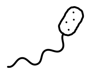 腸炎ビブリオ