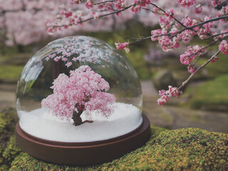cherry blossom snow globe