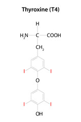 Thyroxine (T4).  One of the two major hormones secreted by the thyroid gland. Chemical formula.