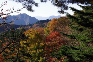 Autumn landscape photography on a sunny day