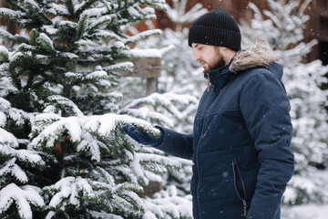 Handsome bearded man chooses a Christmas tree at the fair