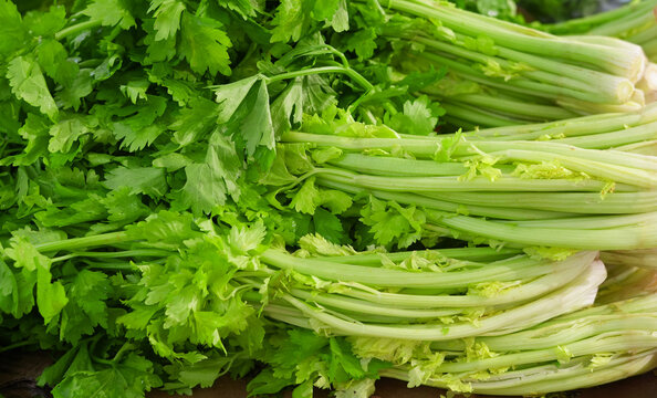 Green fresh celery in pile in the market