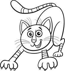 cartoon tabby cat animal character coloring page