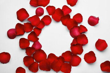 Frame of red rose petals on white background, top view