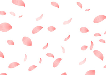 A4比率の桃の花びらの背景