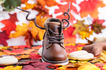 children's autumn shoes on bright autumn leaves. The concept of children's clothing for winter and autumn. Walks and sports. Space for text.