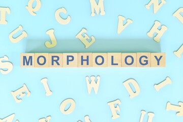 Study morphology in linguistics concept. Wooden blocks word typography flat lay in blue background.