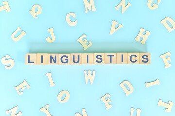 Study linguistics concept. Wooden blocks word typography flat lay in blue background.