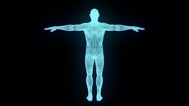 Man body wireframe. Computer generated 3d render