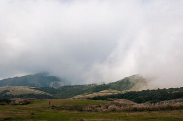 Qingtiangang Grassland in Yangmingshan National Park Taipei, Taiwan