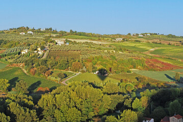Fototapeta na wymiar The shadow of a hot air balloon is cast across a vineyard, over Tuscany, Italy.