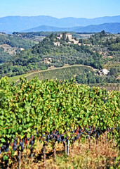 Fototapeta na wymiar A mansion in the distance speaks of a successful vineyard in Tuscany, Italy.