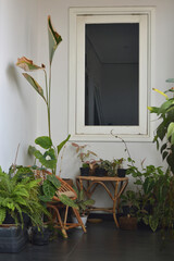 small garden on 2nd floor