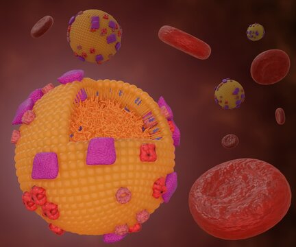 Chylomicrons or ultra low-density lipoproteins or ULDL in the blood vessel flow with red blood cells 3d rendering