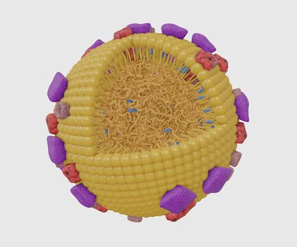 Isolated Chylomicrons also known as ultra low-density lipoproteins or ULDL 3d rendering