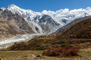 Glacier and Nanga Parbat rangę in autumn. Nanga Parbat is the ninth highest mountain in the world and western anchor of the Himalayas. Located in Pakistan