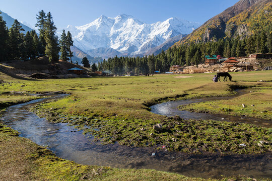 PAKISTAN - September 2021: Nanga Parbat, beautiful mountain view, guesthouses and a stream of water on the meadow from Fairy Meadows, Pakistan