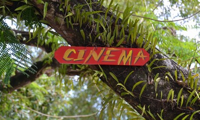 Hand painted sign in tree for outdoor cinema in Vanuatu