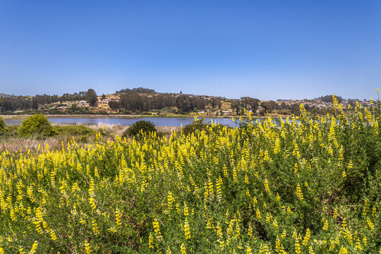 Laguna el peral
