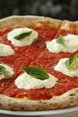 Margherita pizza with tomato sauce, buffalo cheese and basil