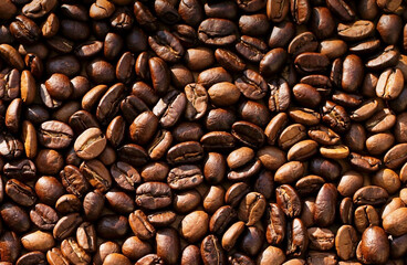 coffee bean background in sunlight