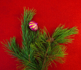 Christmas card on a red background Christmas tree sprig and balls