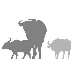 三頭の水牛の影絵　