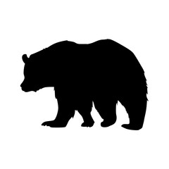 Silhouette of bear