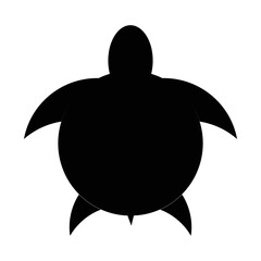 turtle icon vector