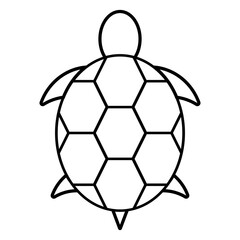 Fototapeta premium turtle icon vector