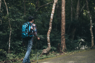 Obraz premium Hikers use trekking pole with backpacks and hold tent bag walking through the forest. hiking and adventure concept.