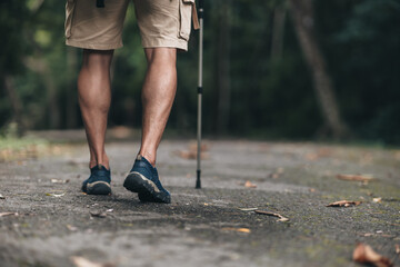 Hikers use trekking pole with backpacks walking through on the road in the forest. hiking and adventure concept.