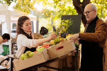 Young farmer putting price tags on fresh products boxes at farmers market stand, preparing to sell homegrown bio produce with old man. Team of vendors selling organic natural products.