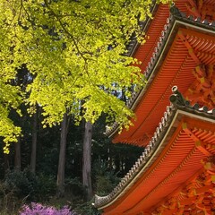 Fototapeta na wymiar japanese temple in autumn