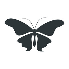 Abstract black butterfly. Vector illustration