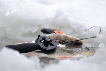 Winter fishing on the river, tackle and catch.