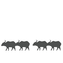 水牛の影絵　小