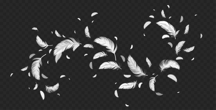 Fototapeta Flying white feathers png isolated on transparent background. Realistic vector illustration of abstract swirl of light fluffy plumage in air. Symbol of lightness, angels flight trail, hope and peace