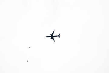 airplane flying in the sky