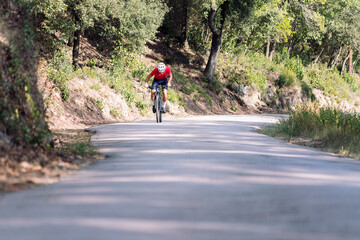 Fototapeta premium unrecognizable cyclist training hard with his mountain bike on a forest road, concept of freedom and sport in nature, copy space for text