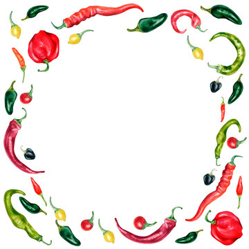 Frame of various hot peppers watercolor illustration isolated on white. Signboard of tabasco, habanero, chili, jalapeno hand drawn. Design element for menu, market, sign, ingredients of dishes, logo