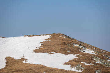 Mountain goats in wilderness on scenic ski tour hiking trail from Hohe Ranach to Zirbitzkogel,...