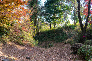 滝の城跡【県指定史跡】日本埼玉県所沢市・滝の城址公園