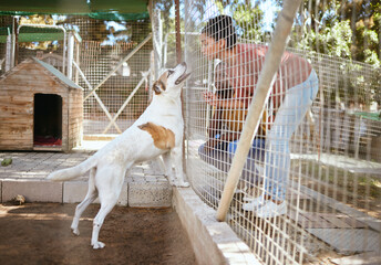 Fence, dog and adoption at animal shelter with black couple playing with animal. Empathy, foster care and man and woman bonding, enjoying time and having fun with excited pet at vet, kennel or pound. - Powered by Adobe