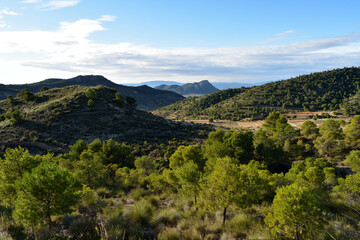 Fototapeta na wymiar Mountain scene in Spain with pine tree forest